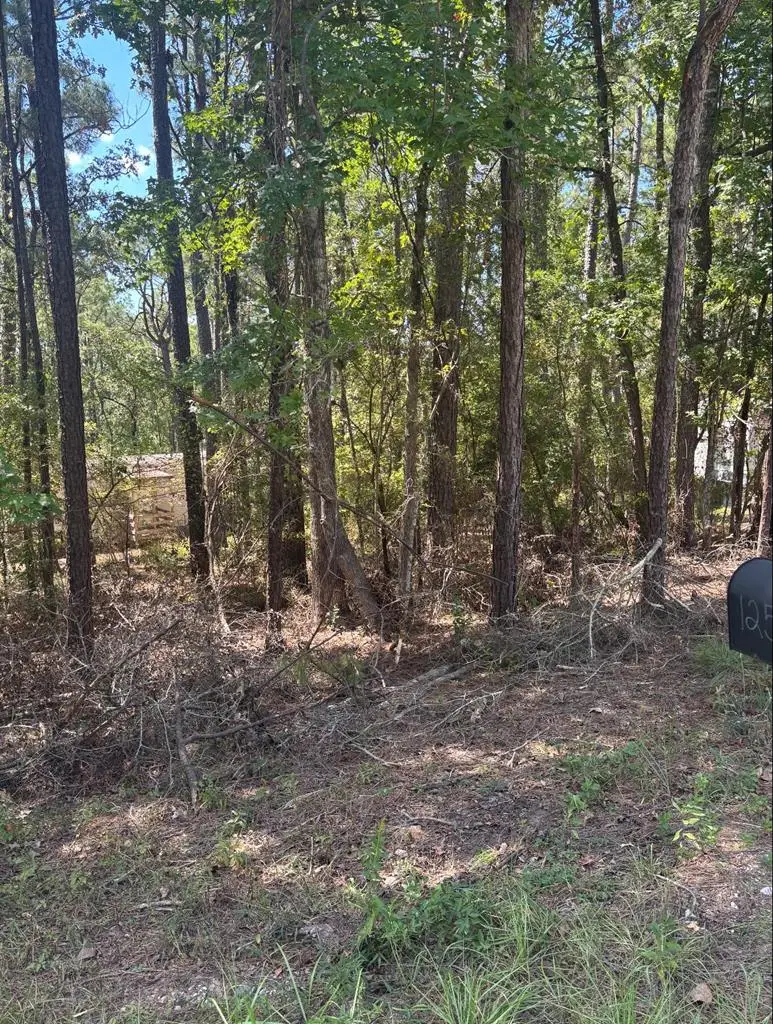 122 Oriole, Brookeland, TX 75931 - #2