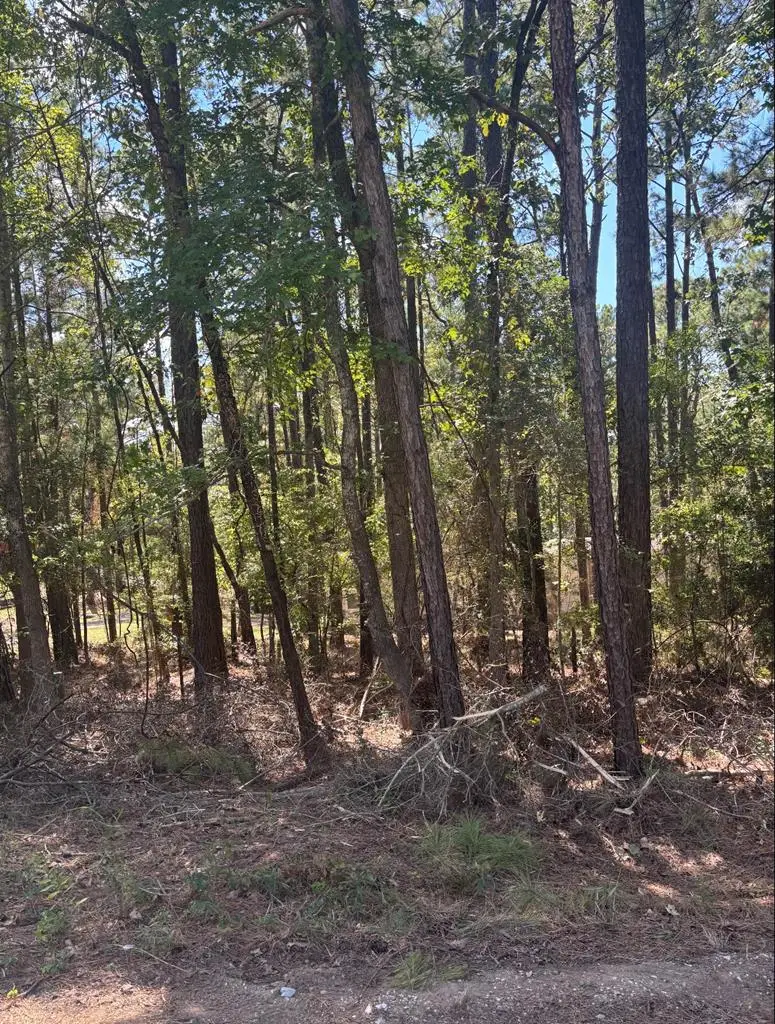 122 Oriole, Brookeland, TX 75931 - #3