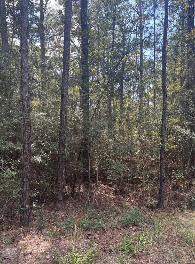 155 Sitka, Brookeland, TX 75931 - #2