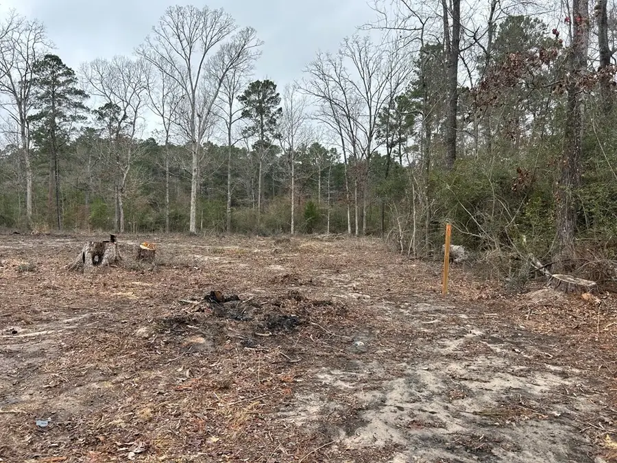 288 Wooded Acres Rd, Huntington, TX 75949 - #2