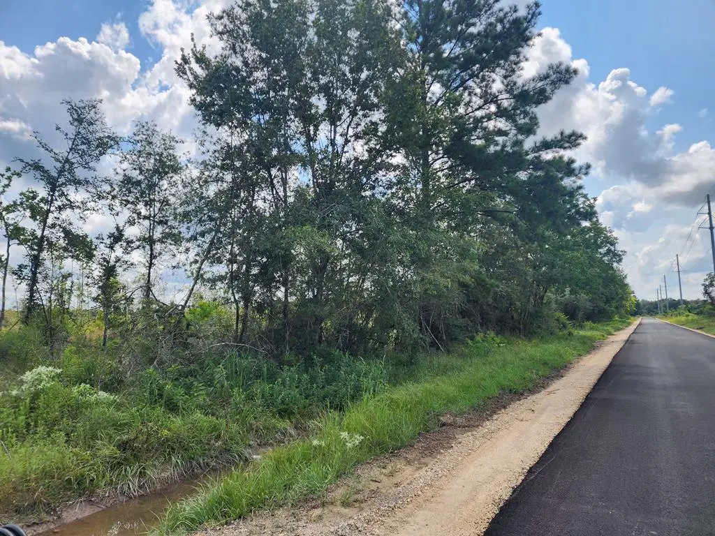 36950 Old Sour Lake Road, Sour Lake, TX 77659 - #1