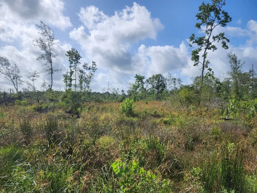 36950 Old Sour Lake Road, Sour Lake, TX 77659 - #3