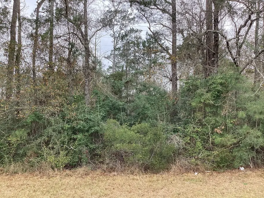 16332 Highway 96 S, Kirbyville, TX 75956 - #3