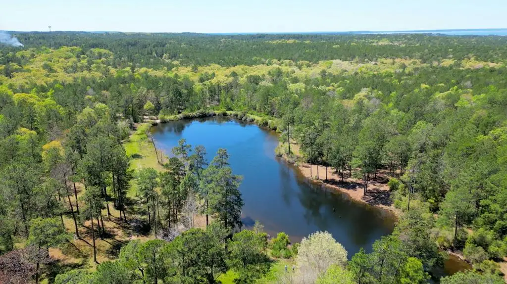 TBD Black Squirrel Road East, Brookeland, TX 75931 - #1