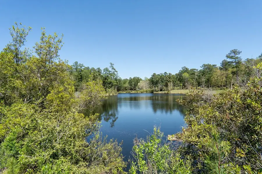 TBD Black Squirrel Road East, Brookeland, TX 75931 - #2