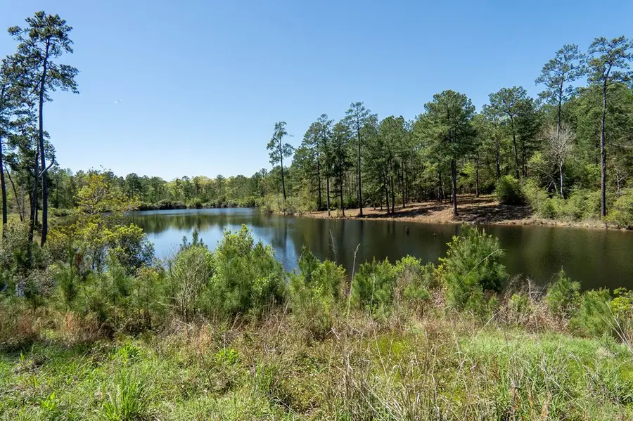 TBD Black Squirrel Road East, Brookeland, TX 75931 - #3