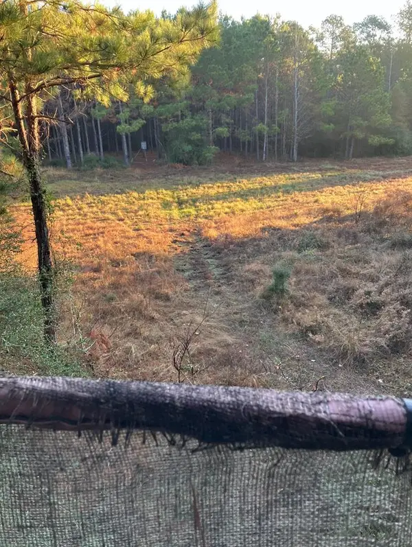 Tract 21 Kickapoo Road, Groveton, TX 75845