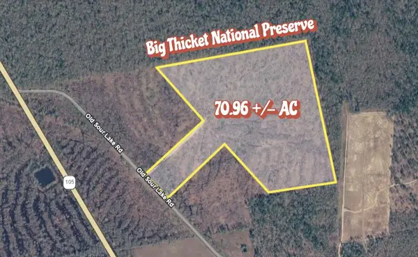 70.96 AC +/- Old Sour Lake Road, Sour Lake, TX 77659
