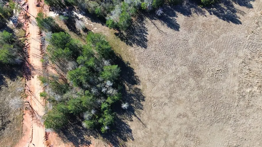Lot 324 Madison, Hillister, TX 77624 - #3