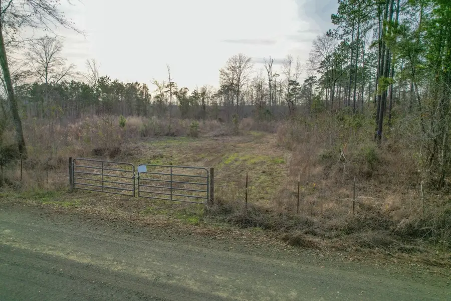 PID 27357 Old Fm 705, Broaddus, TX 75929 - #2