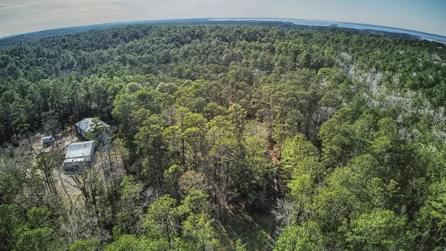 179 Sassafras, Brookeland, TX 75931 - #3