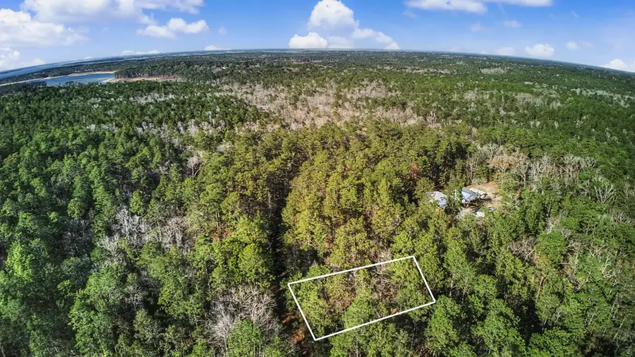 191 Sassafras, Brookeland, TX 75931 - #3