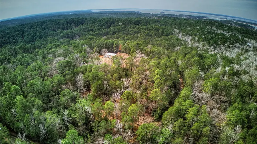 173 Sassafras, Brookeland, TX 75931 - #2