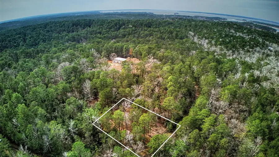 173 Sassafras, Brookeland, TX 75931 - #3