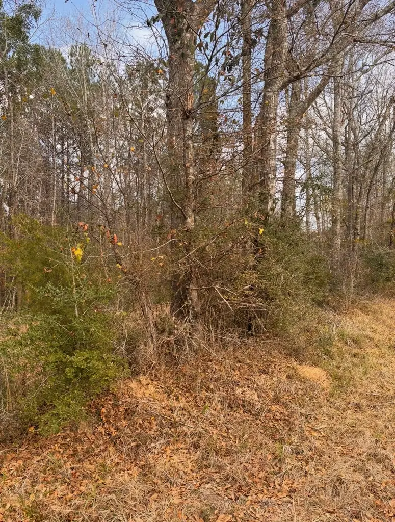 15.45 AC County Road 434, Jasper, TX 75951 - #3