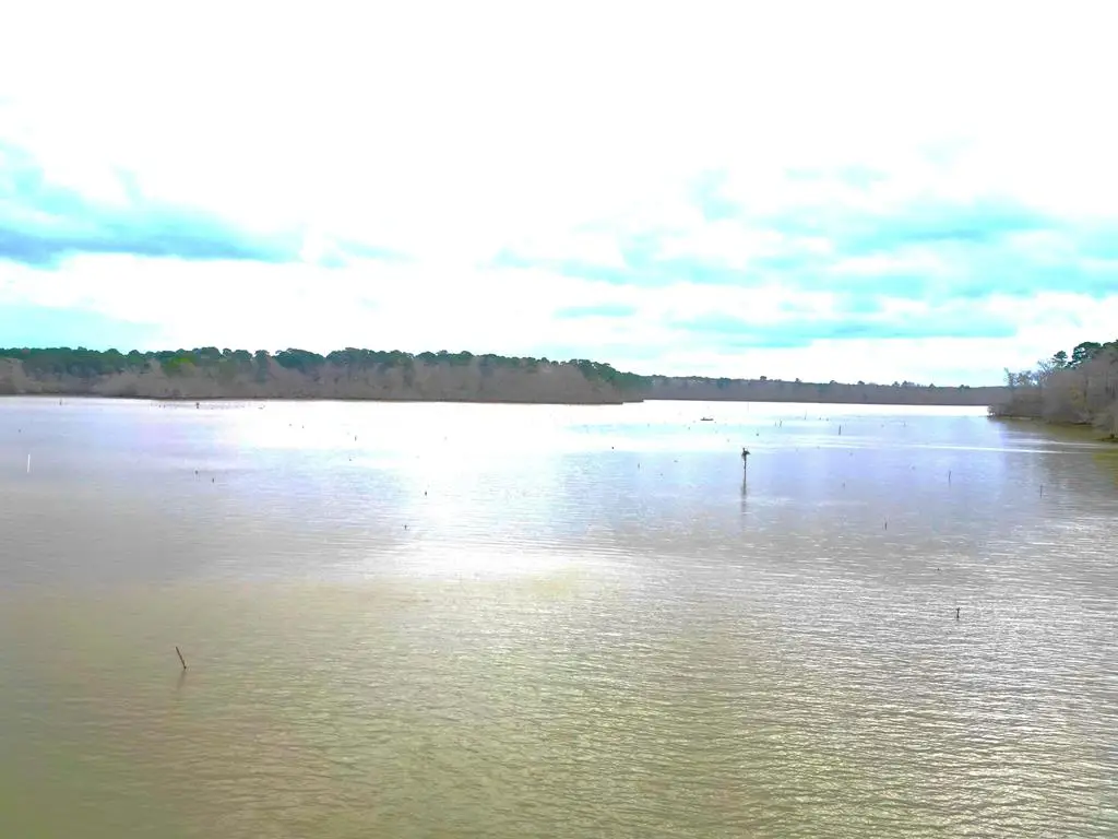 999 Davidson Rd, Hemphill, TX 75948 - #1