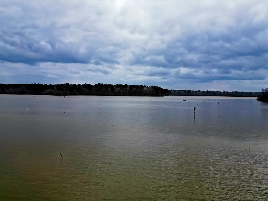 999 Davidson Rd, Hemphill, TX 75948 - #2