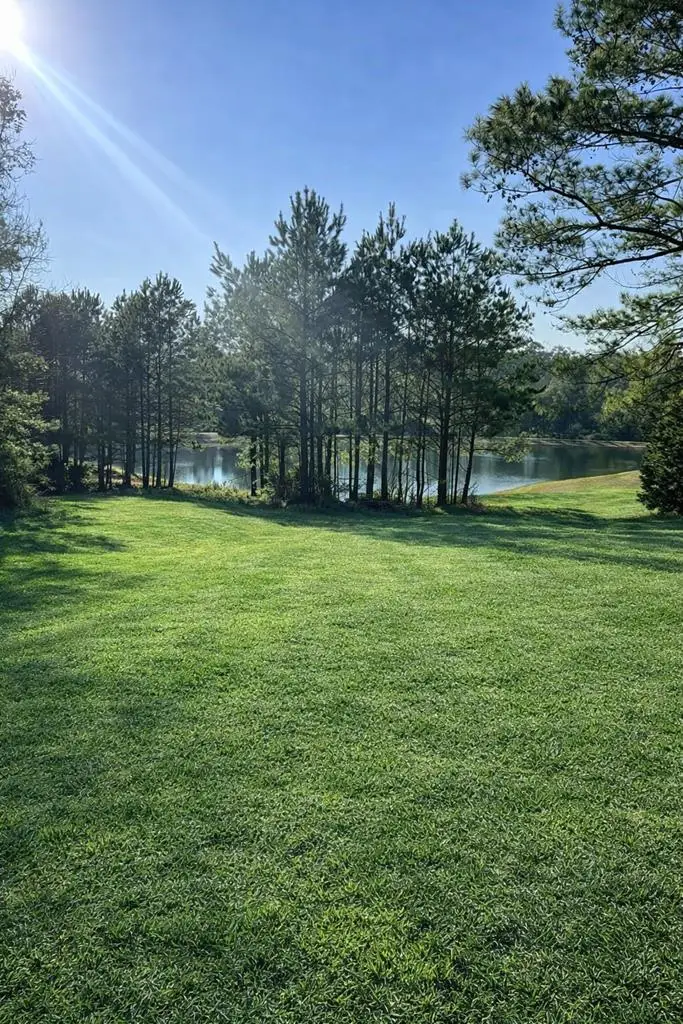 476 County Road 173, Jasper, TX 75951 - #1