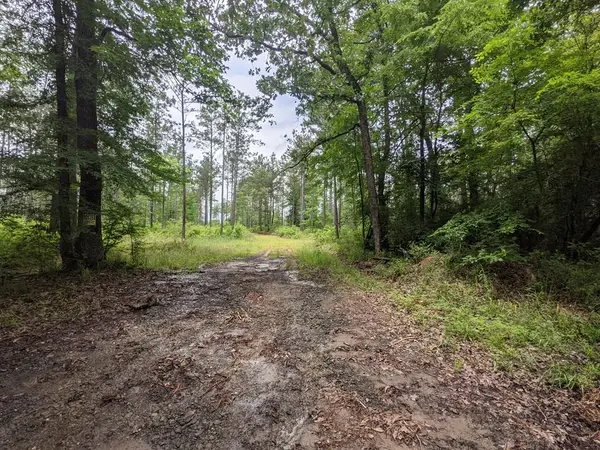 101 Beechwood, Huntington, TX 75949