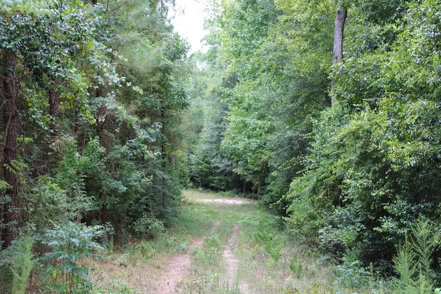 PID 69934 TR2 Duff Rd, Livingston, TX 77351 - #3