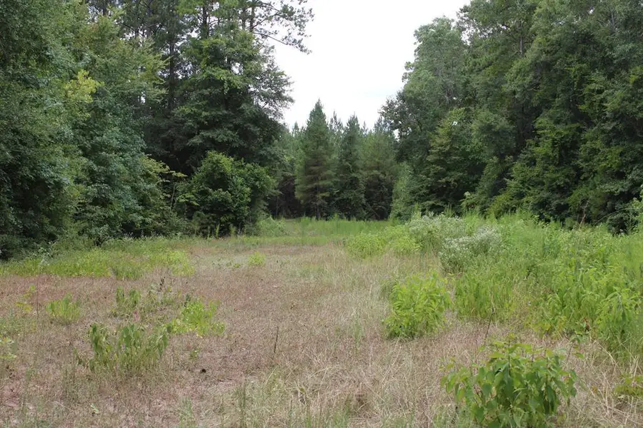 PID 69934 TR3 Duff Rd, Livingston, TX 77351 - #2