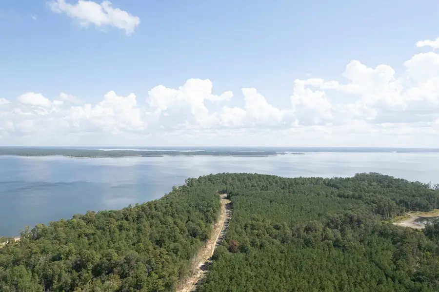 R12357 Lot 46 Fm 705, Broaddus, TX 75929 - Image #3