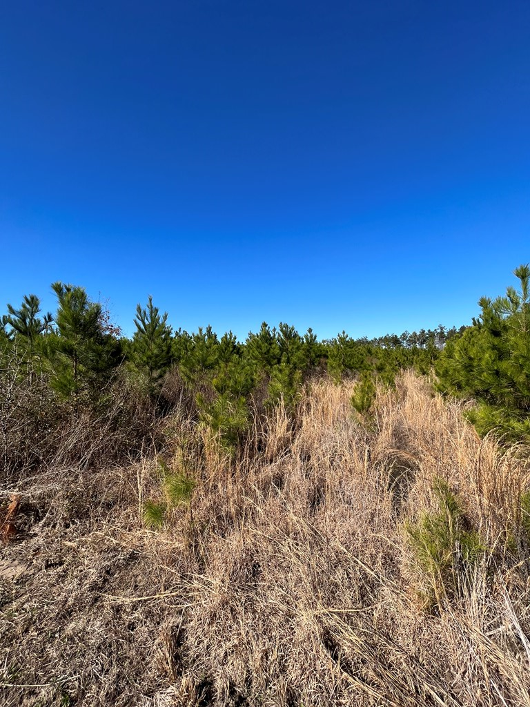 R86353 Southern Drive, Lufkin, TX 75901 - #2