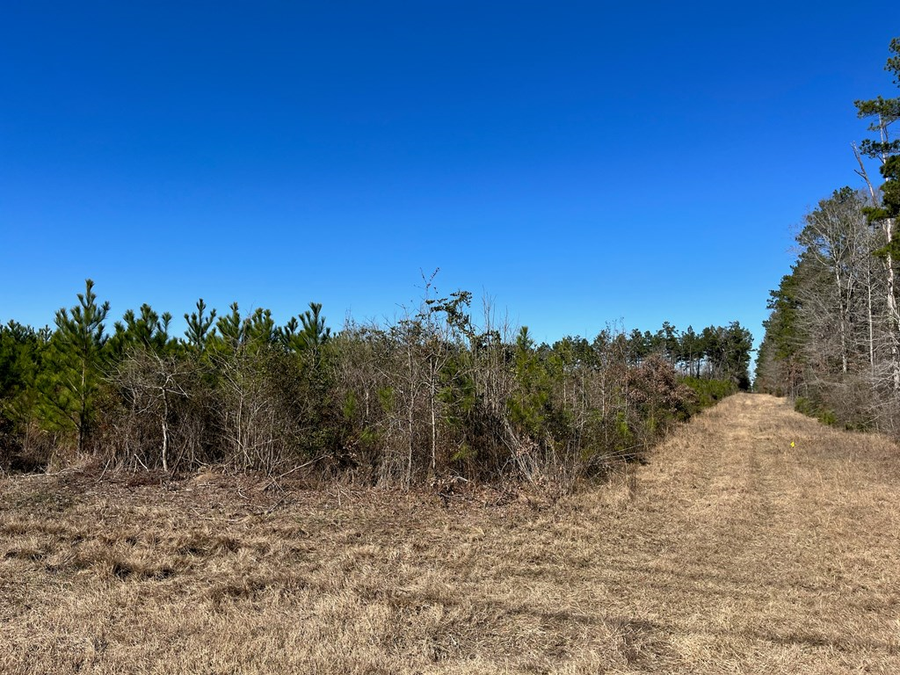 R86353 Southern Drive, Lufkin, TX 75901 - #3