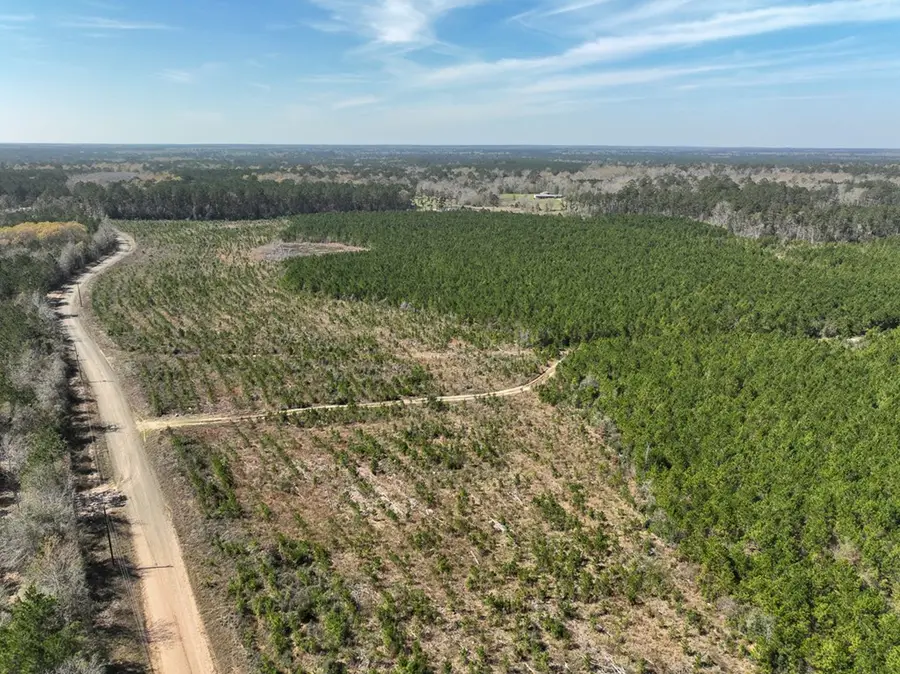 40 Ac County Road 4415, Spurger, TX 77660 - Image #3