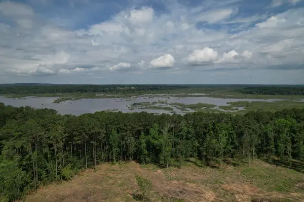 17564 Hwy 103e, Broaddus, TX 75972