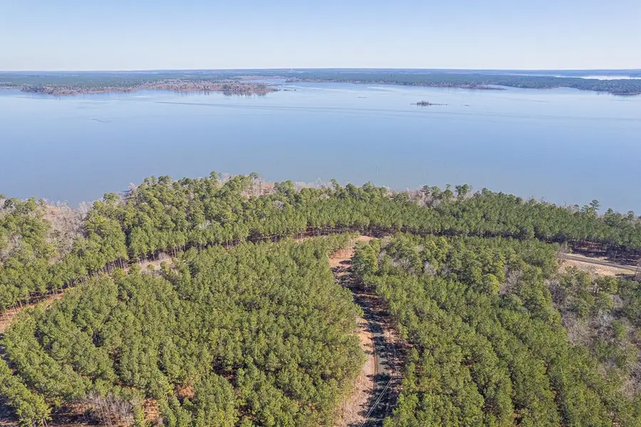 28125 Lot 109 Fm 705, Broaddus, TX 75972 - Image #2