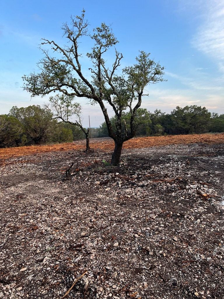 PID 23205 Junction Hills, Junction, TX 76849 - Image #3