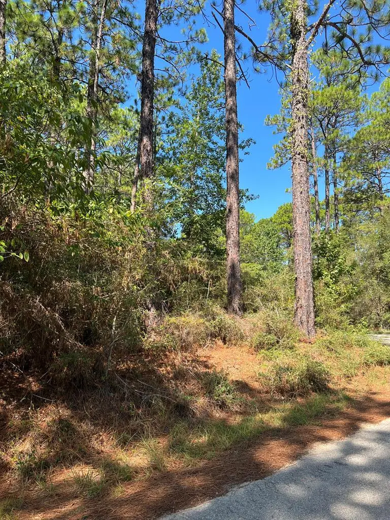 420 Sparkleberry Dr., Brookeland, TX 75931 - Image #2