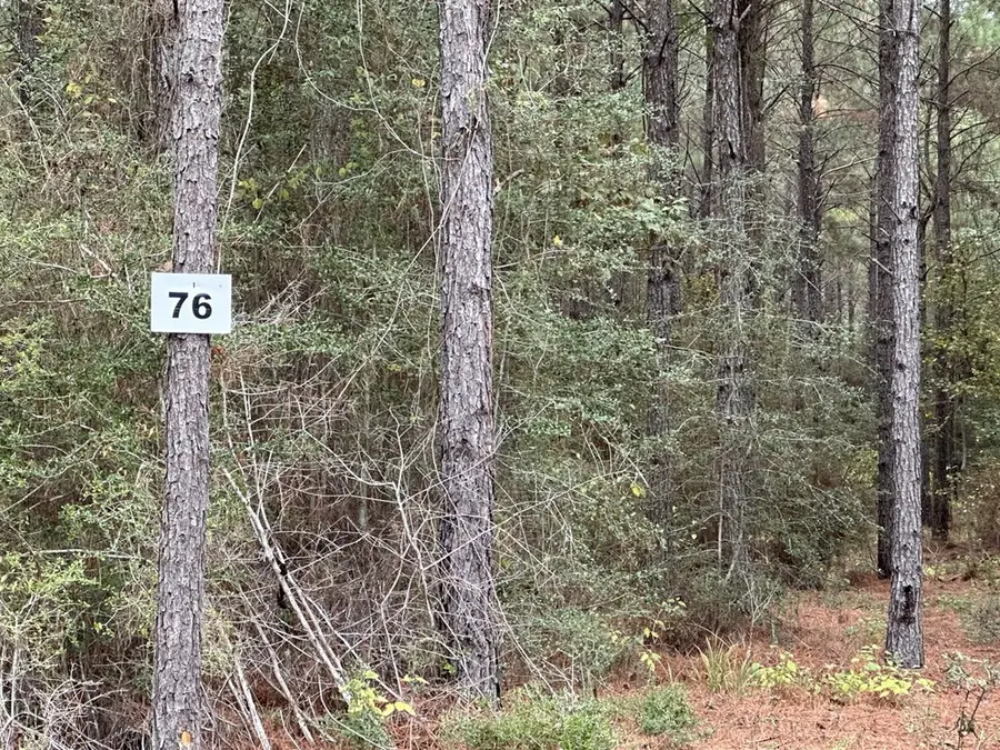 R12357 Lot 76 Fm 705, Broaddus, TX 75929 - Image #3