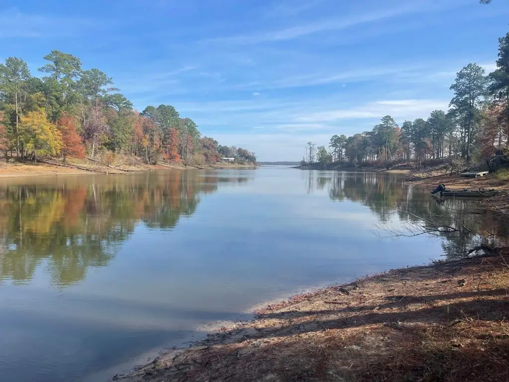 1619 Cypress Point Drive, Huntington, TX 75949 - Image #1