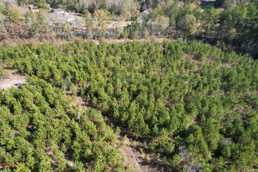 R86353 Lot 3 Southern Drive, Lufkin, TX 75901 - Image #2