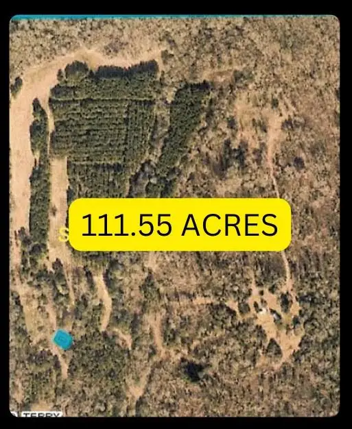 1997 Cr 1006, Center, TX 75935 - Image #1