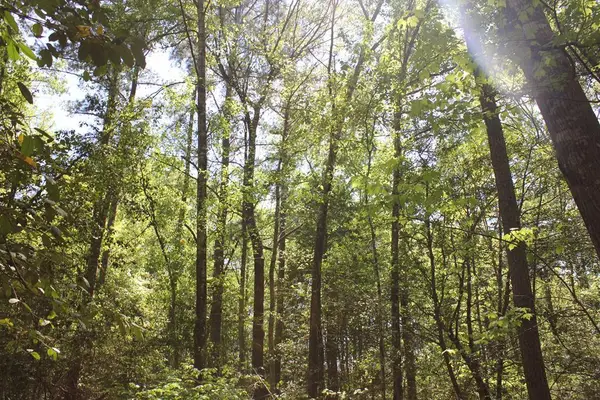 PID 36982 Hwy 103w, Lufkin, TX 75904