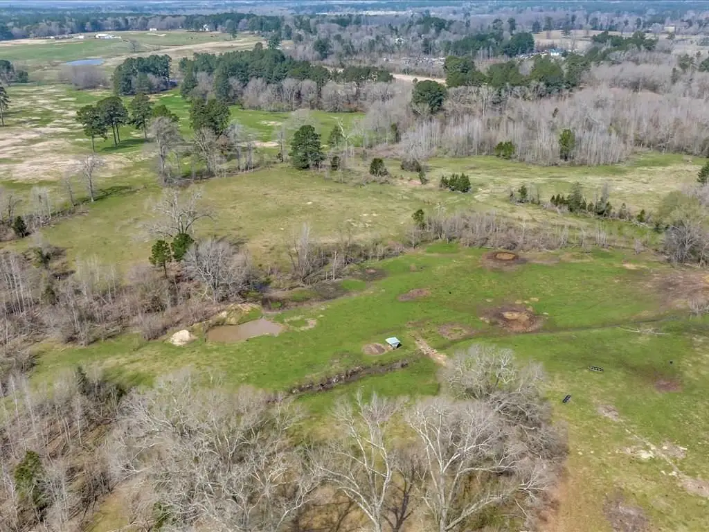 1159 County Road 195, Garrison, TX 75946 - Image #1