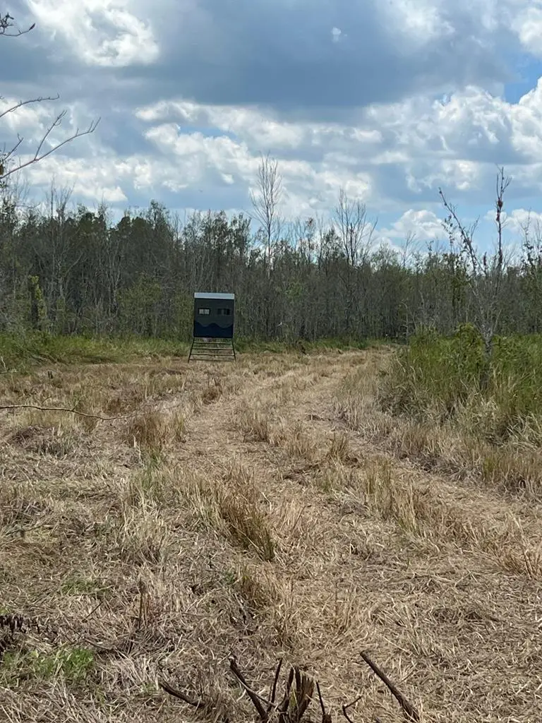 R11553 Hwy 12, Deweyville, TX 77614 - Image #1