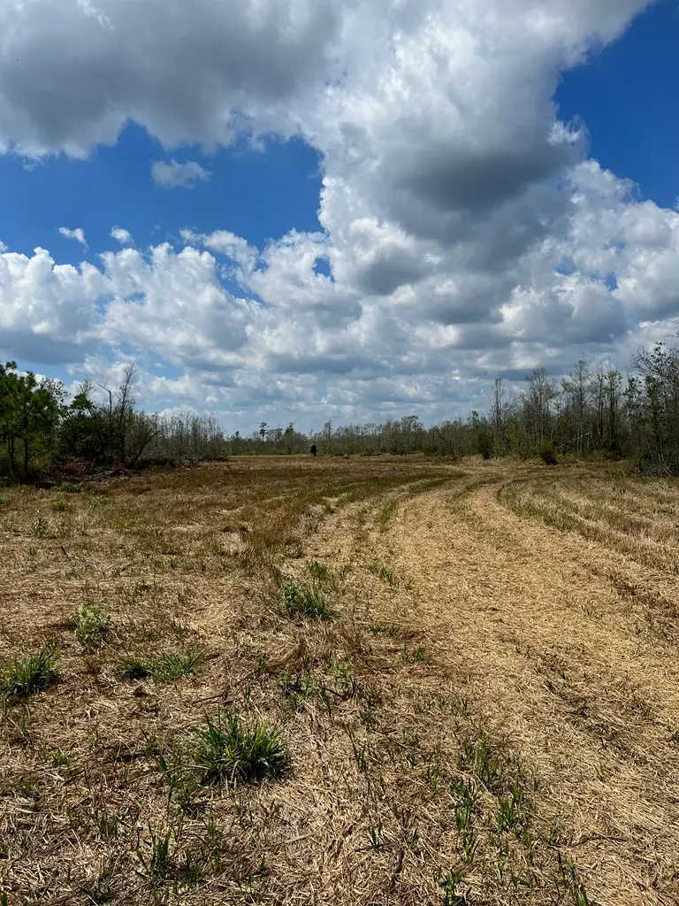 R11553 Hwy 12, Deweyville, TX 77614 - Image #2