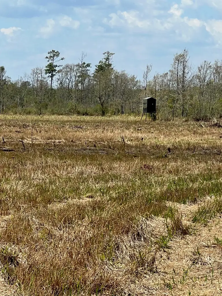 R11553 Hwy 12, Deweyville, TX 77614 - Image #3