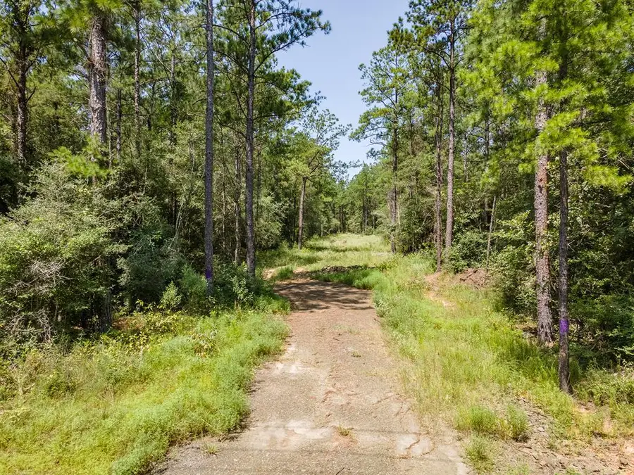 R27930 Fm 705, Broaddus, TX 75929 - Image #2