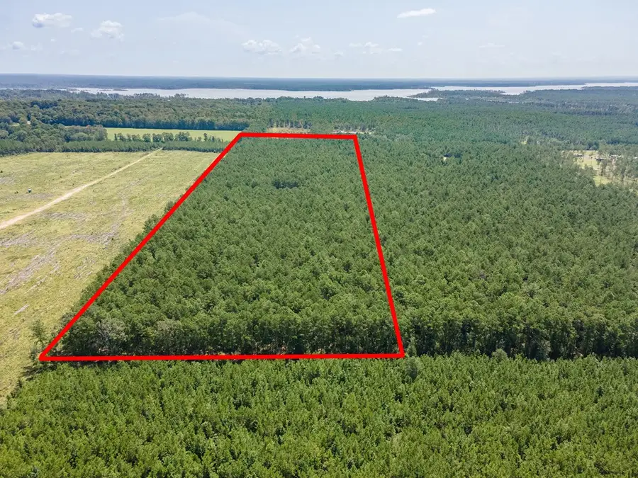 R27930 Fm 705, Broaddus, TX 75929 - Image #3