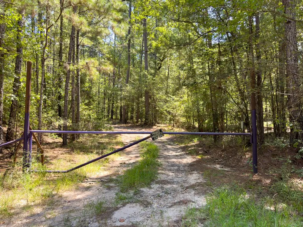 Tract 4.4 Frazier Road, Zavalla, TX 75980 - Image #1