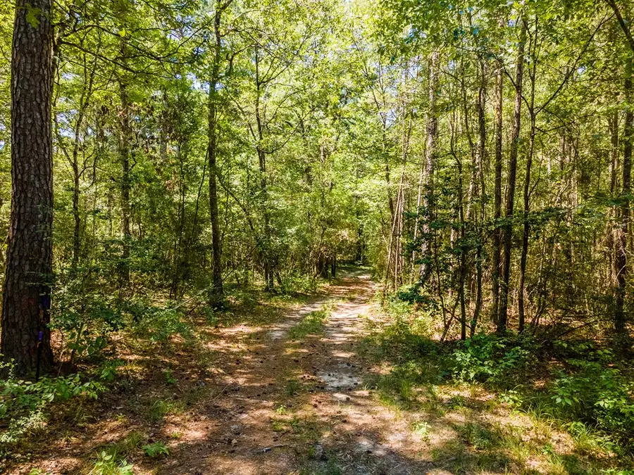 Tract 4.4 Frazier Road, Zavalla, TX 75980 - Image #2