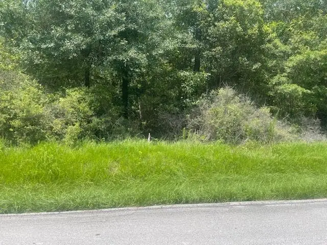 lot 2 Leslie Lane, Lufkin, TX 75901 - Image #3