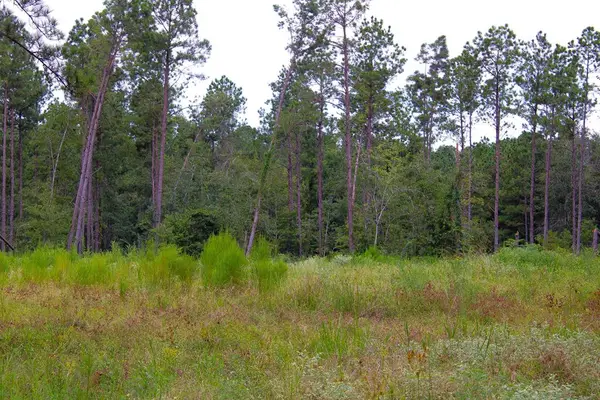 PID 29607 Ben Dunn Road, Hudson, TX 75904