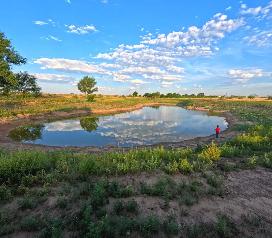 8007 County Rd 6045, Shallowater, TX 79363 - Image #3