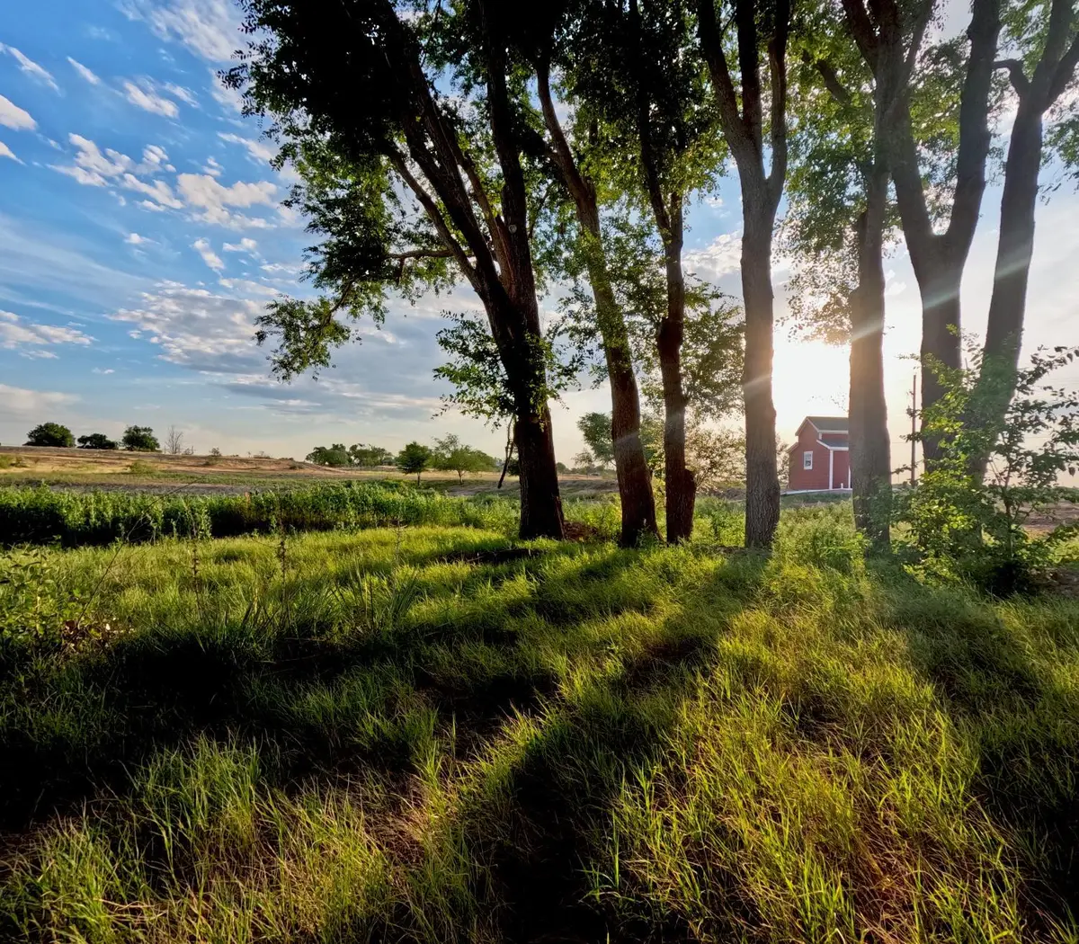 7910 County Rd 6050, Shallowater, TX 79363 - Image #1